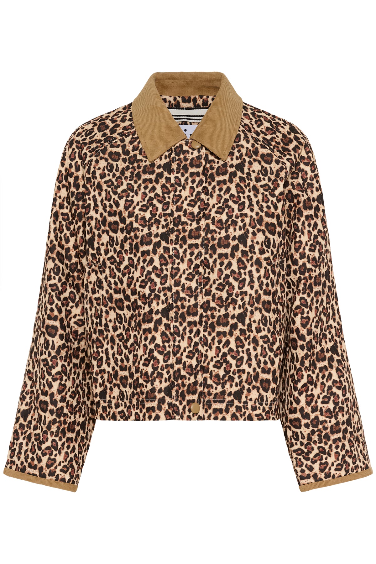 Saint Tropez Olivienne Leopard Print Jacket with Cord Collar, 30514666